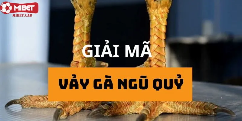 Vảy gà ngũ quỷ là đặc điểm nổi bật của một chú chiến kê mạnh 