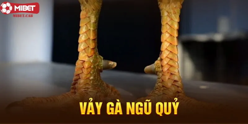 vảy gà ngũ quỷ